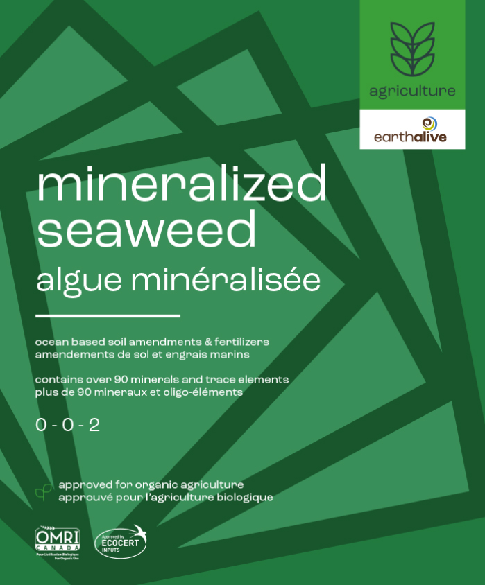 Mineralized Seaweed